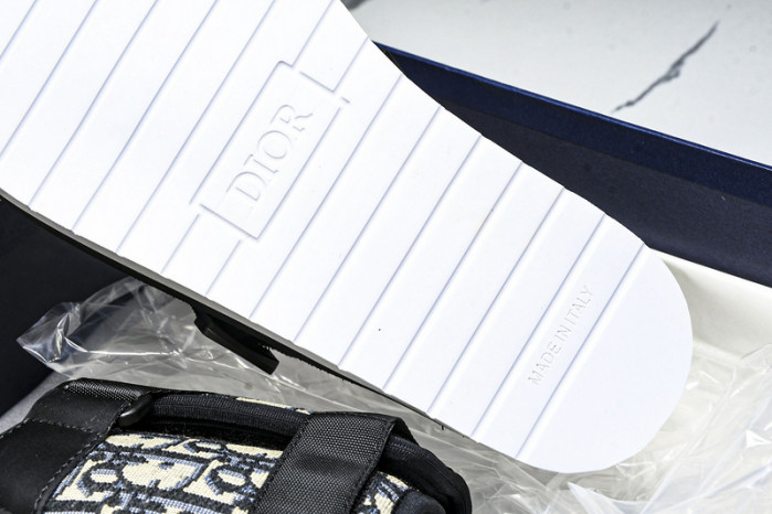 D10r slides ds-063