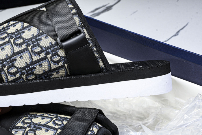 D10r slides ds-063