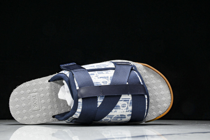 D10r slides ds-064
