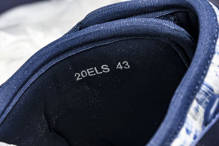 D10r slides ds-064