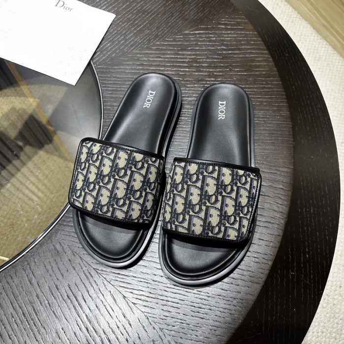 D10r slides ds-052