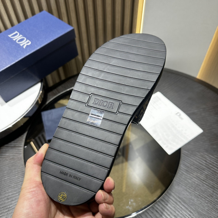 D10r slides ds-052