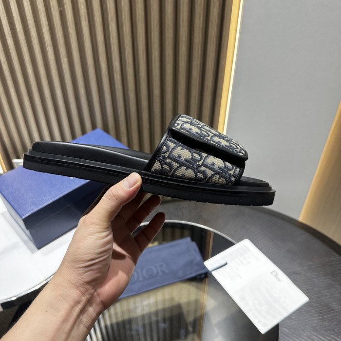 D10r slides ds-052
