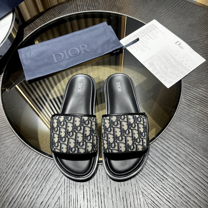 D10r slides ds-052