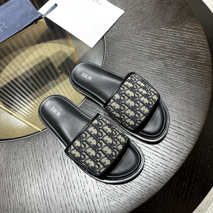D10r slides ds-052