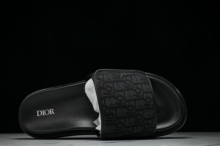D10r SLIDES DS-094