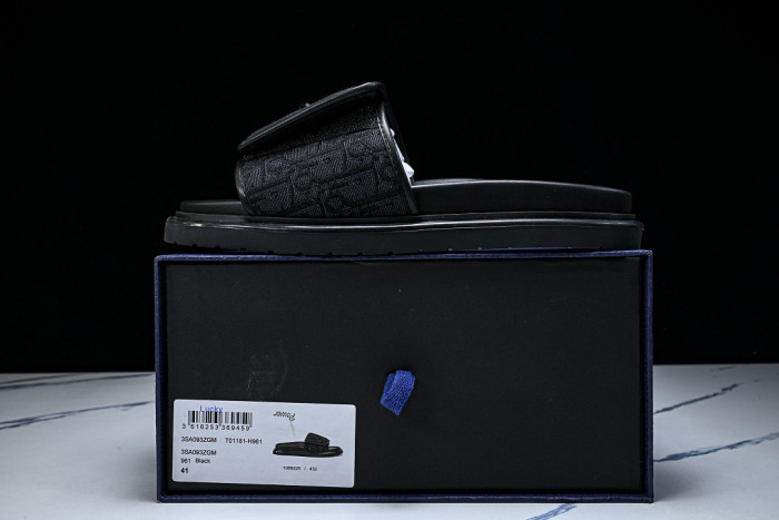 D10r SLIDES DS-094