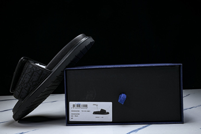 D10r SLIDES DS-094