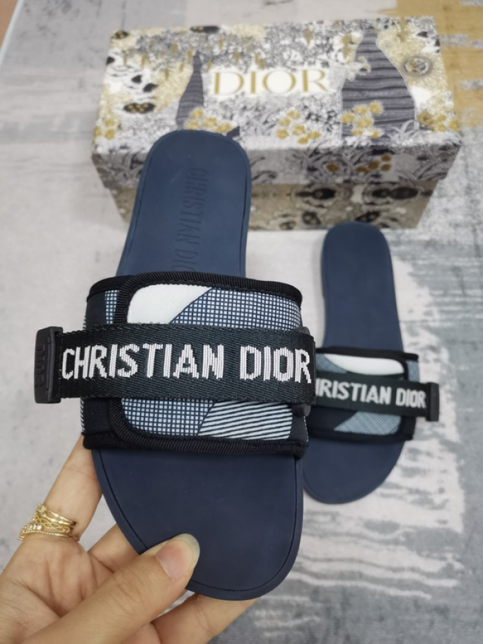 D10r slides ds-040