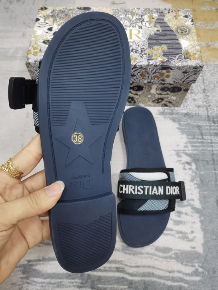 D10r slides ds-040