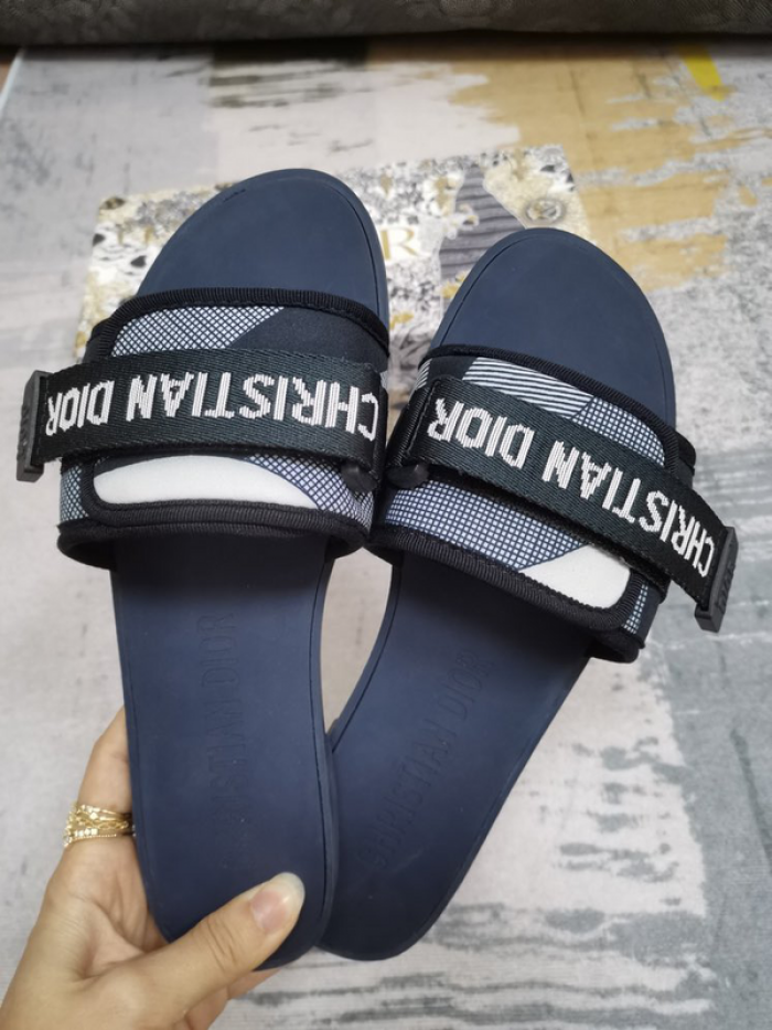 D10r slides ds-040