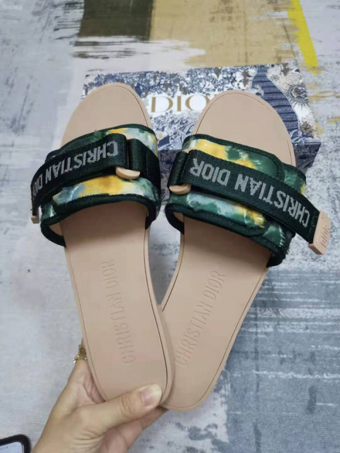 D10r slides ds-027