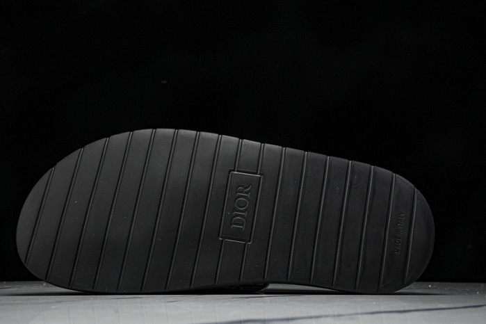 D10r slides ds-060