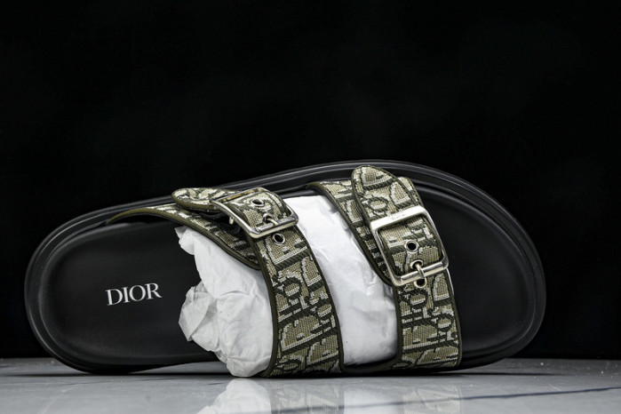 D10r slides ds-060