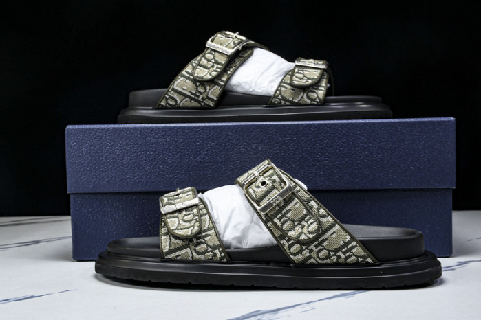 D10r slides ds-060