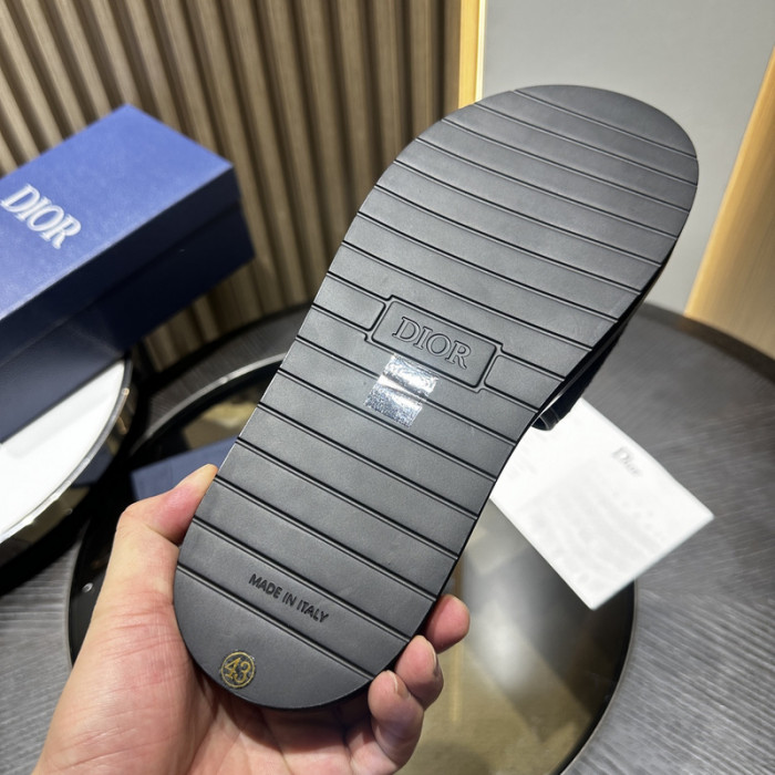 D10r slides ds-053