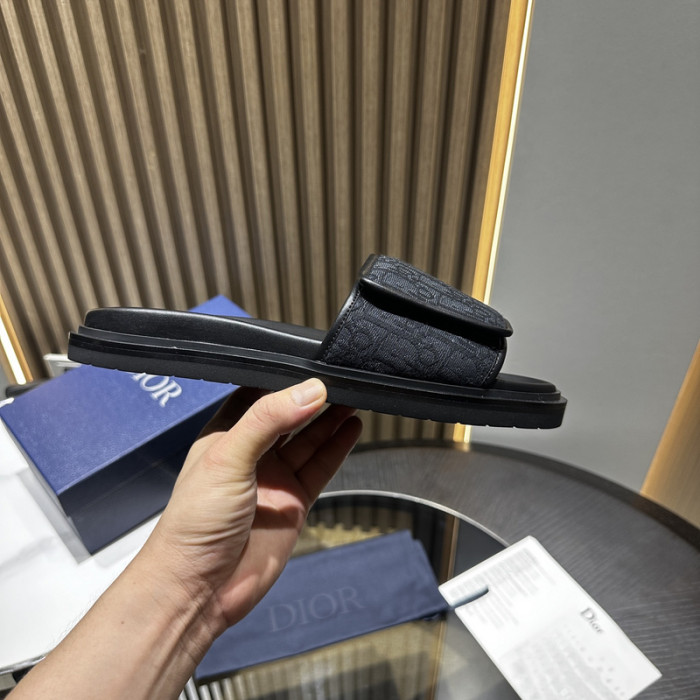 D10r slides ds-053
