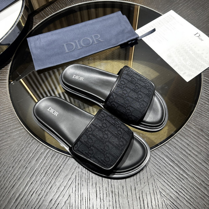 D10r slides ds-053