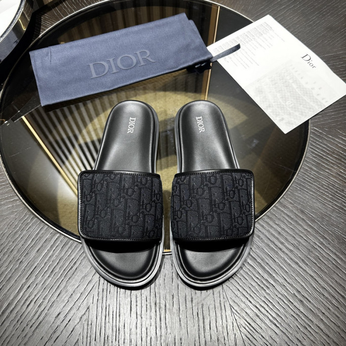 D10r slides ds-053