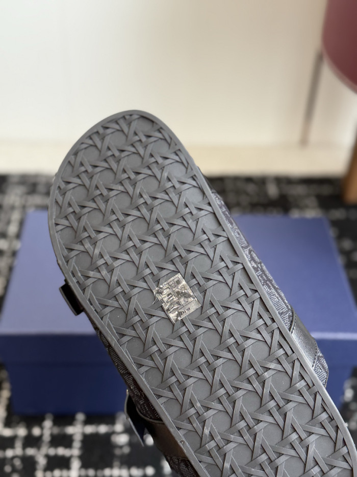 D10r SLIDES DS-0156