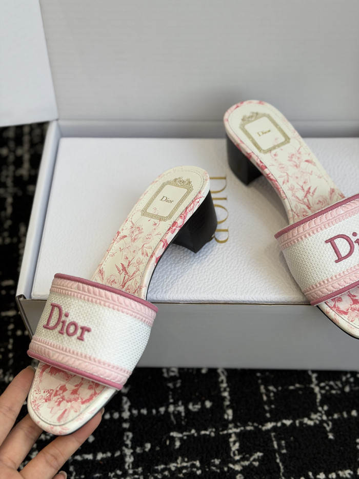 D10r SLIDES DS-0120