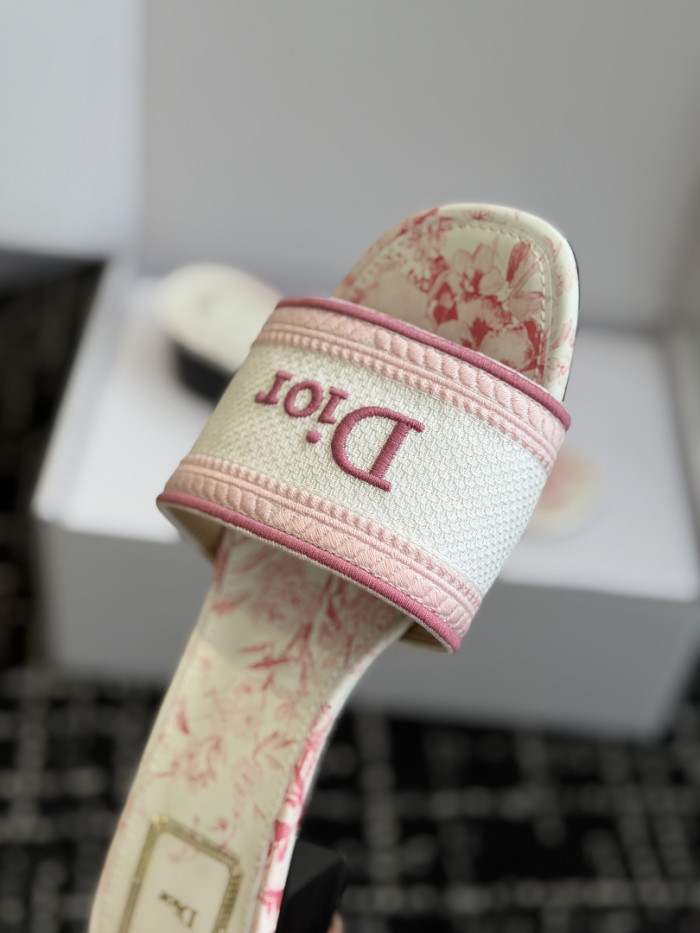 D10r SLIDES DS-0120