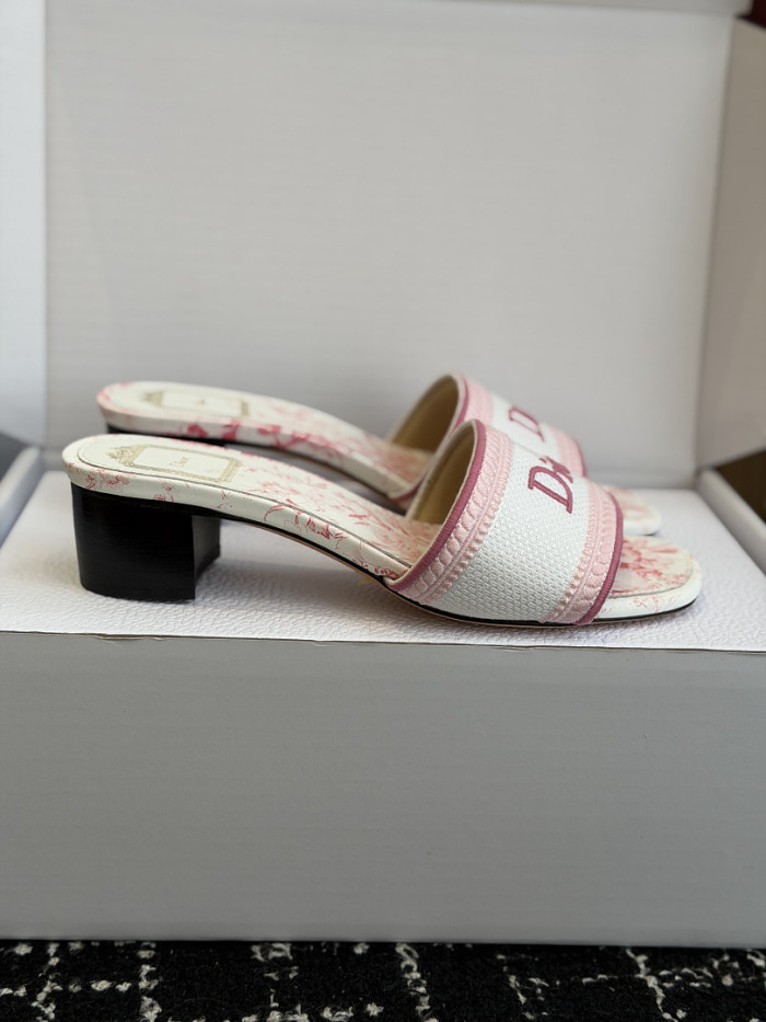 D10r SLIDES DS-0120