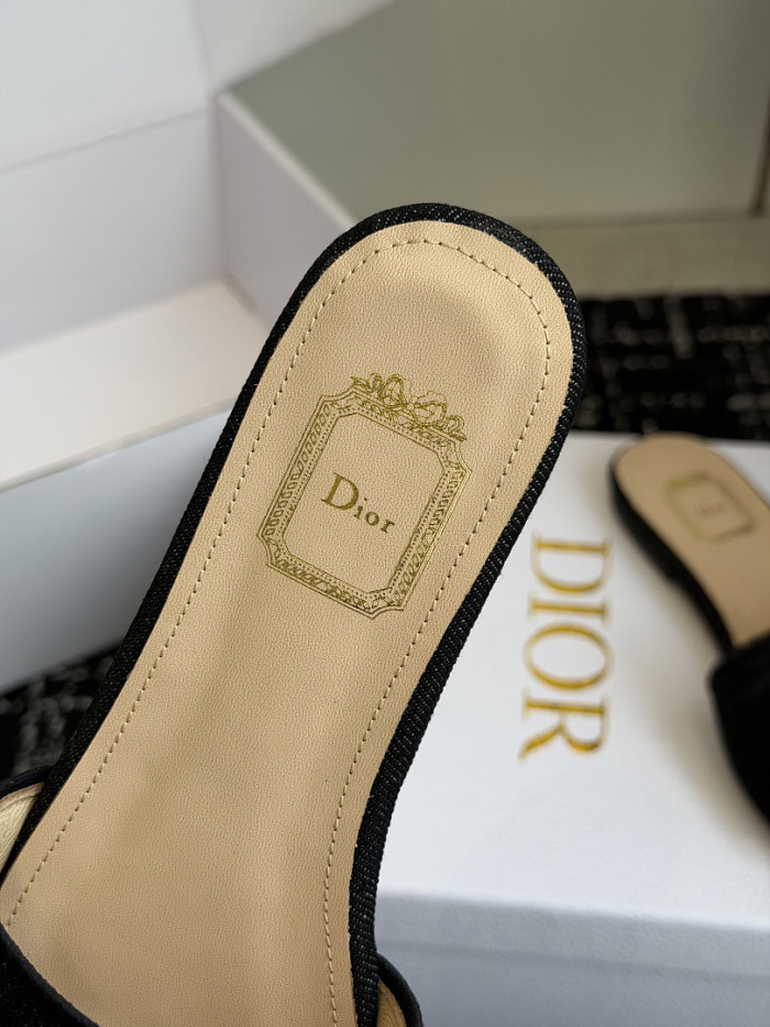 D10r SLIDES DS-0110