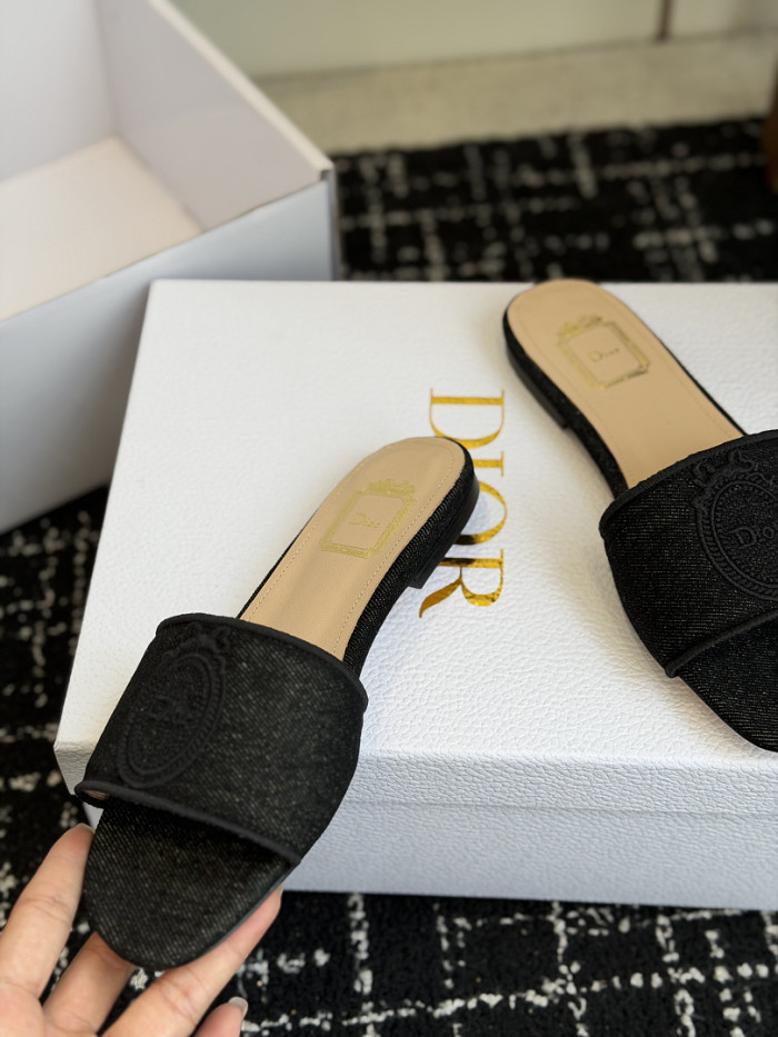 D10r SLIDES DS-0110