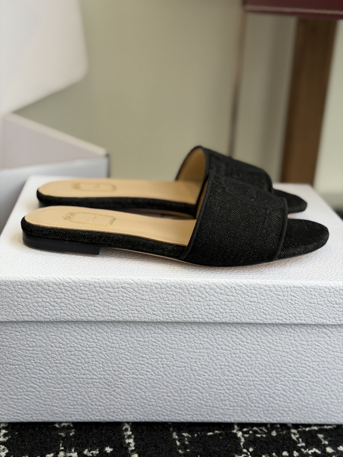 D10r SLIDES DS-0110
