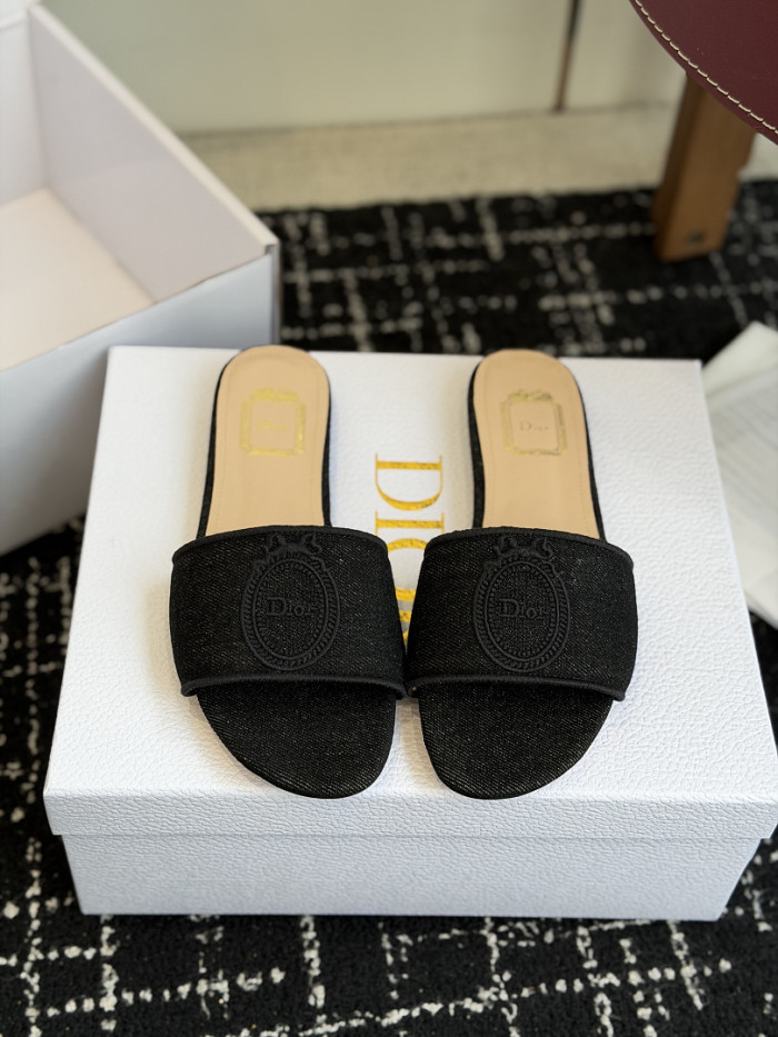 D10r SLIDES DS-0110