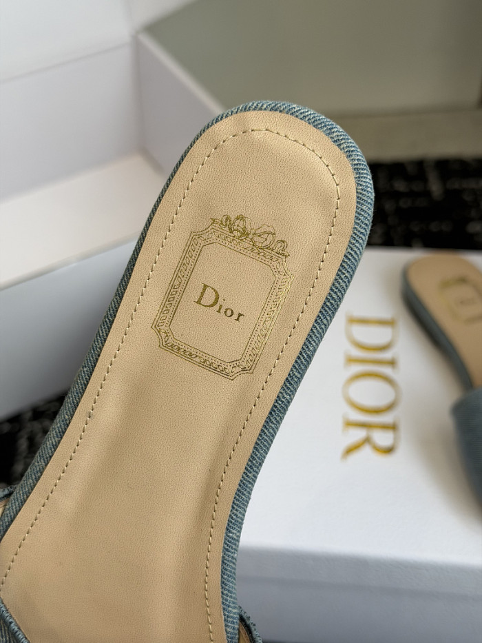 D10r SLIDES DS-0111