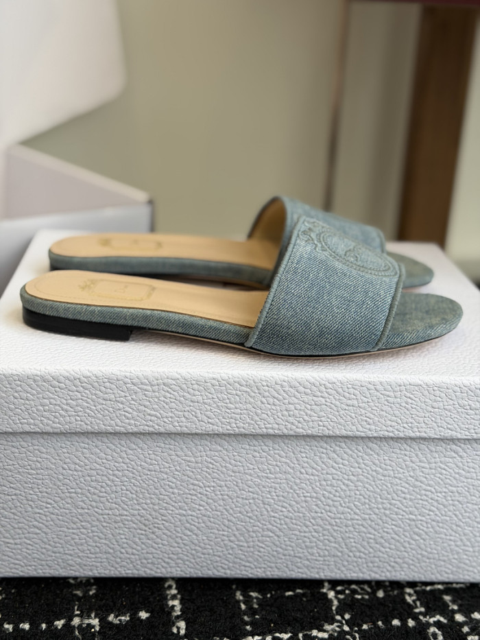 D10r SLIDES DS-0111