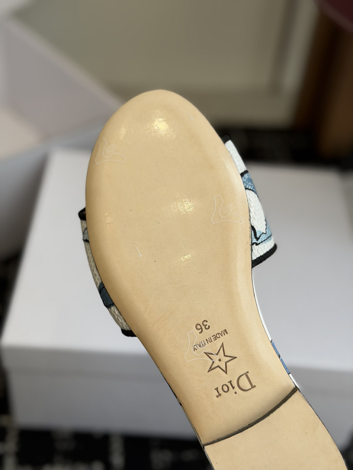 D10r SLIDES DS-0117