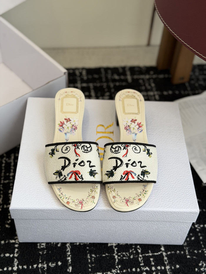 D10r SLIDES DS-0113