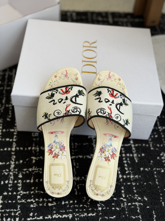 D10r SLIDES DS-0113