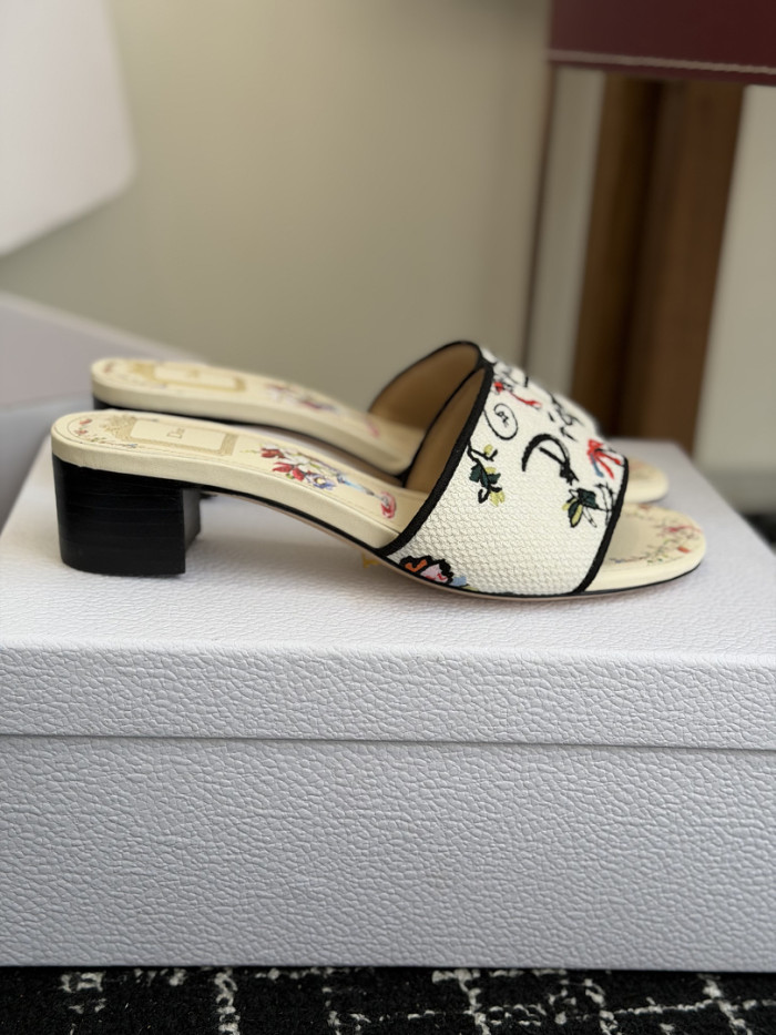 D10r SLIDES DS-0113