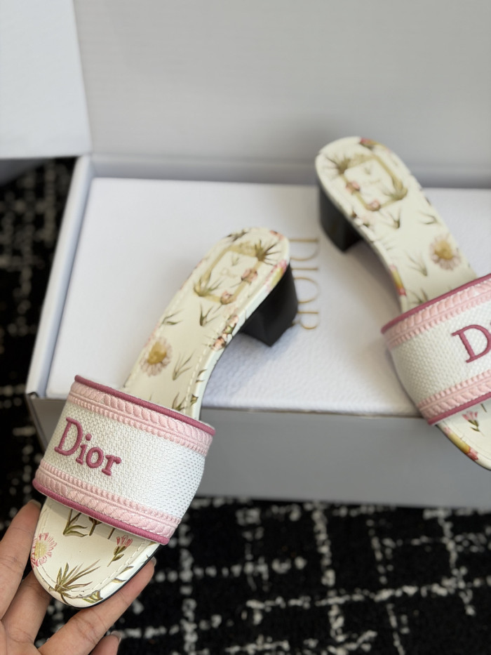 D10r SLIDES DS-0122