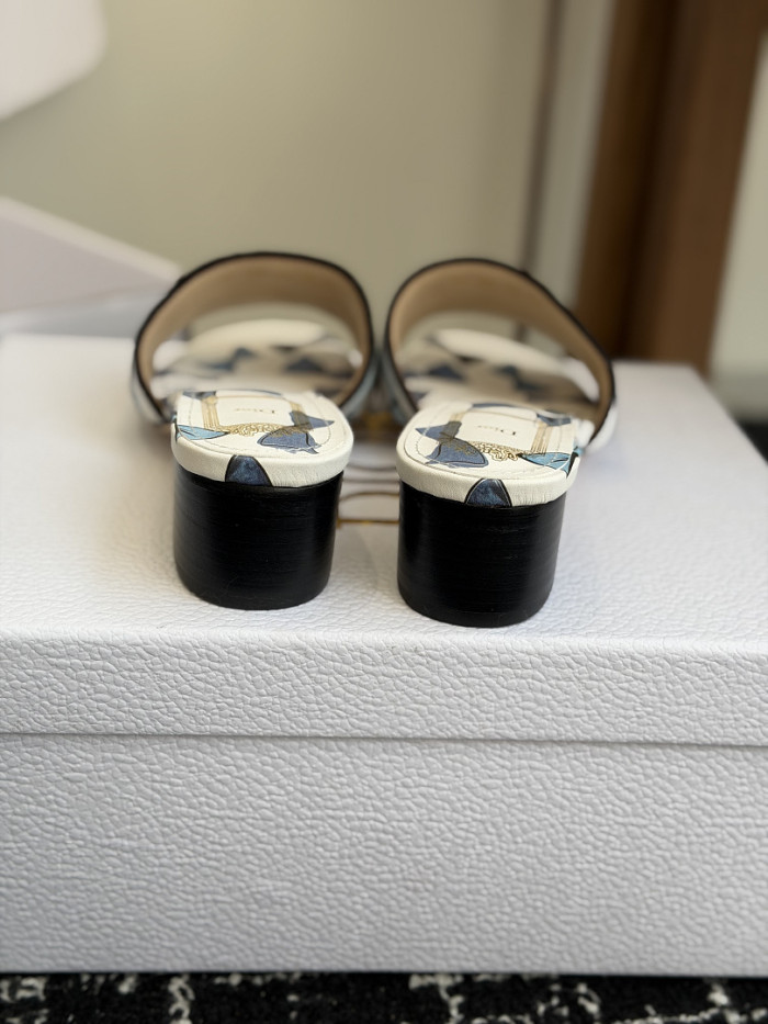 D10r SLIDES DS-0115