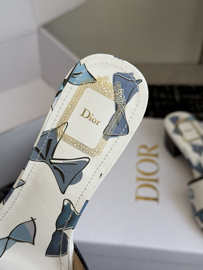 D10r SLIDES DS-0115