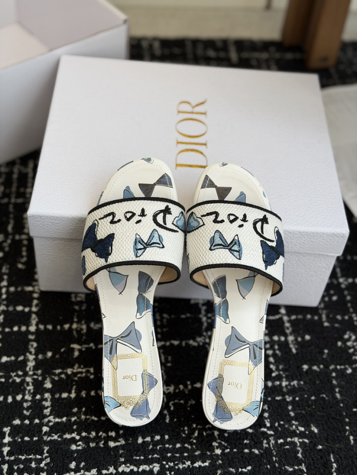 D10r SLIDES DS-0115