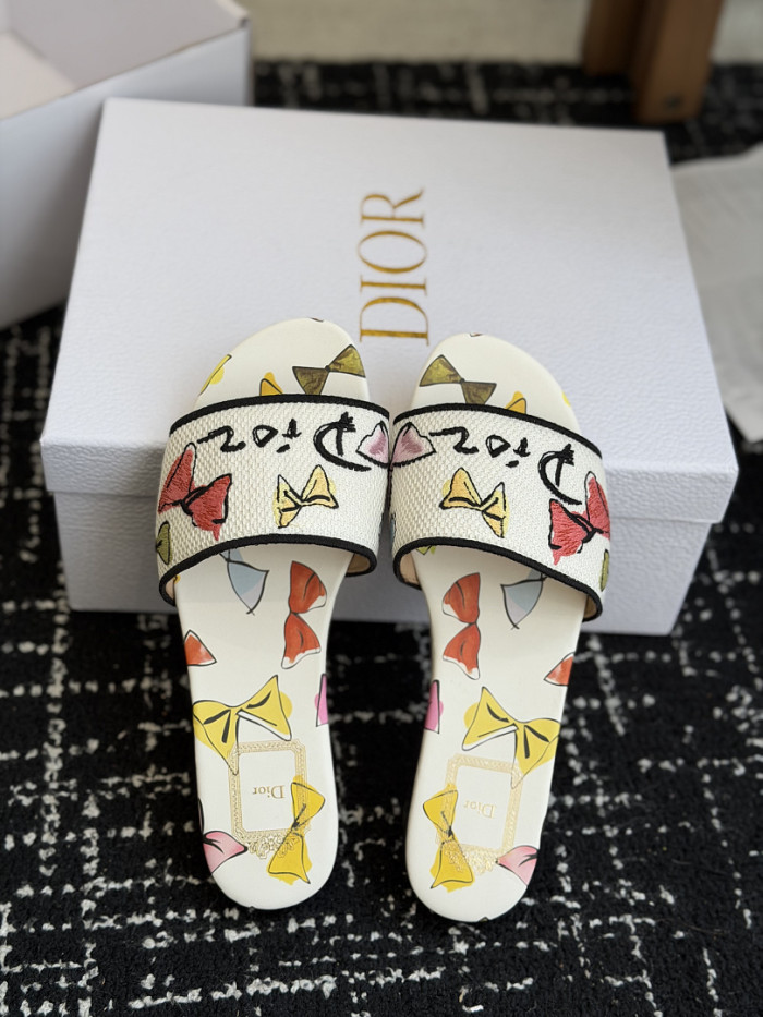 D10r SLIDES DS-0116