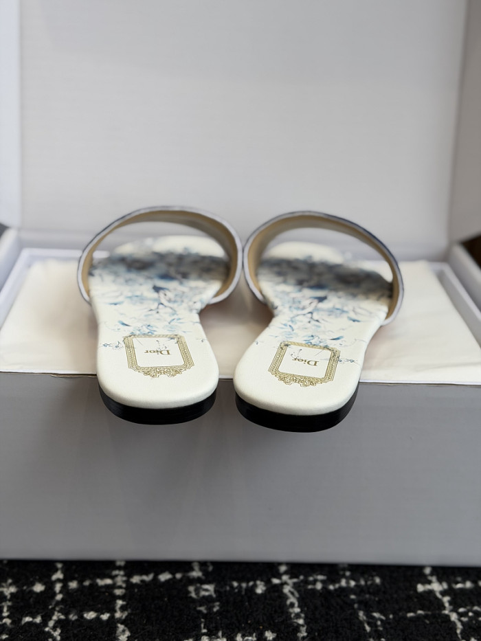 D10r SLIDES DS-0127