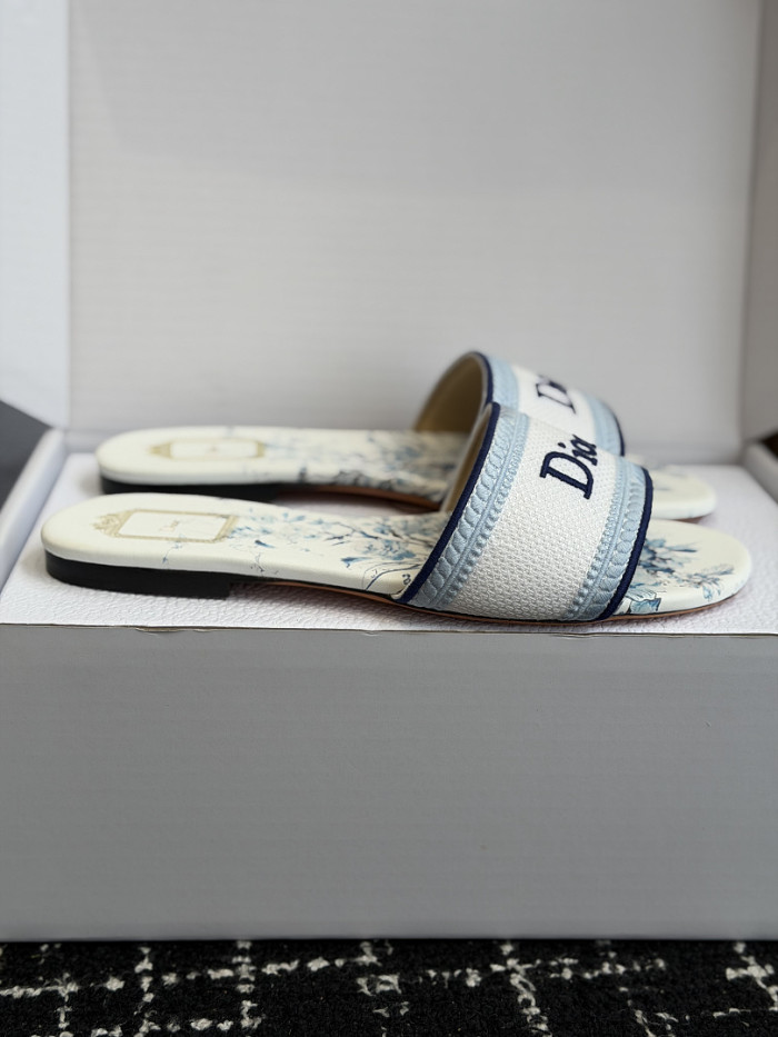 D10r SLIDES DS-0127