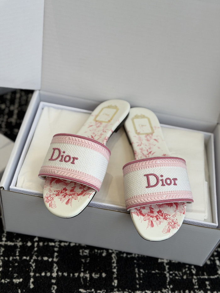 D10r SLIDES DS-0124