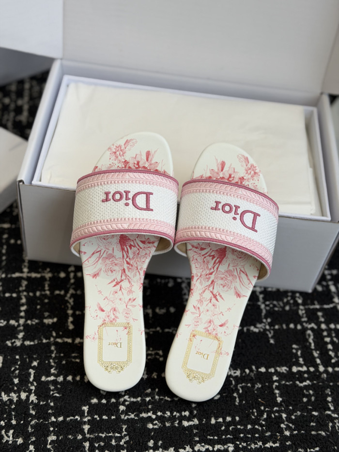 D10r SLIDES DS-0124
