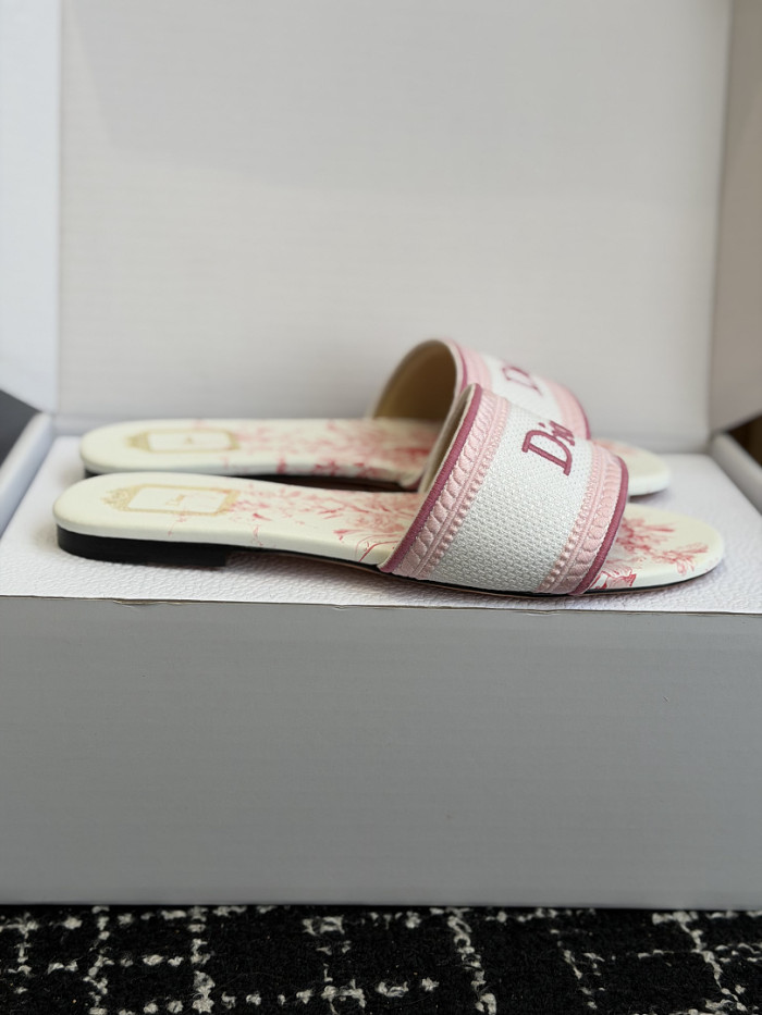 D10r SLIDES DS-0124
