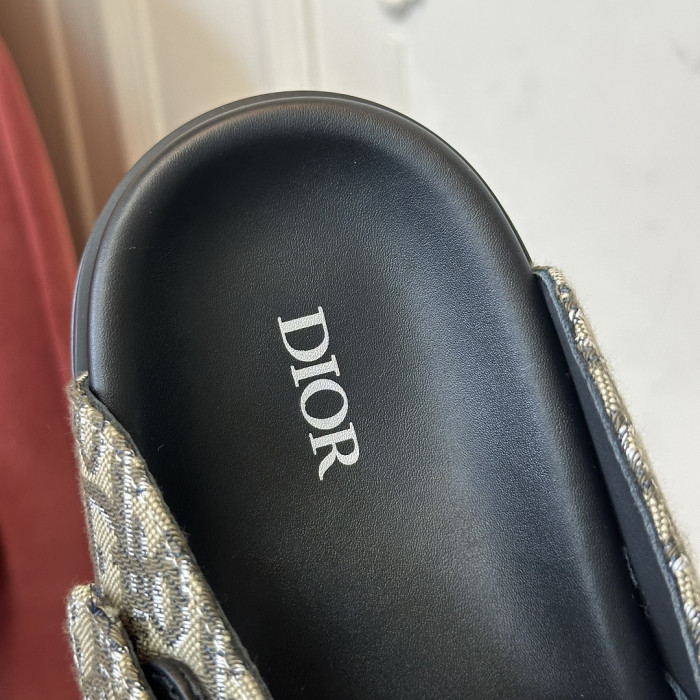 D10r SLIDES DS-0160