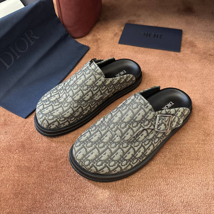 D10r SLIDES DS-0160