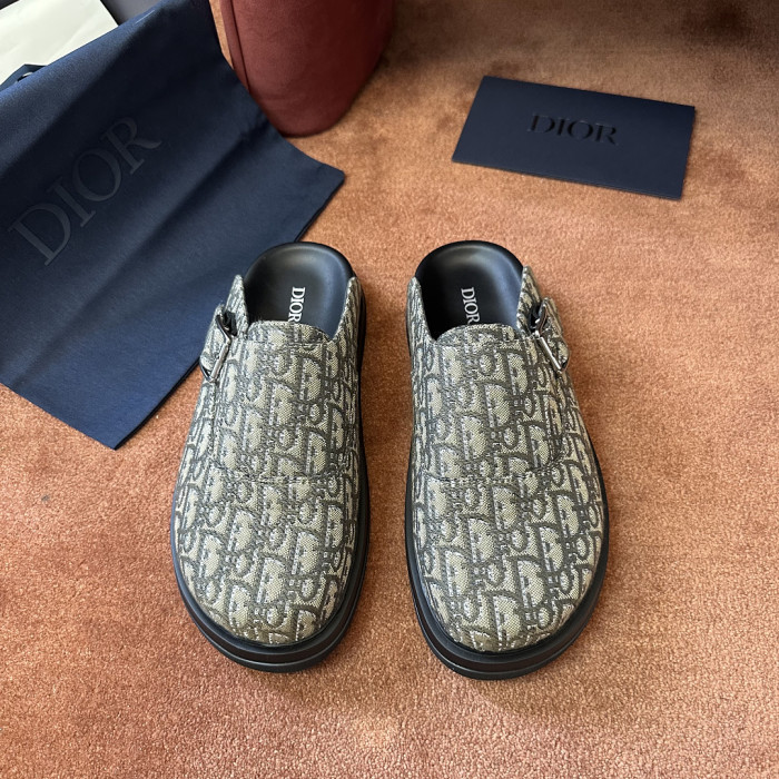 D10r SLIDES DS-0160
